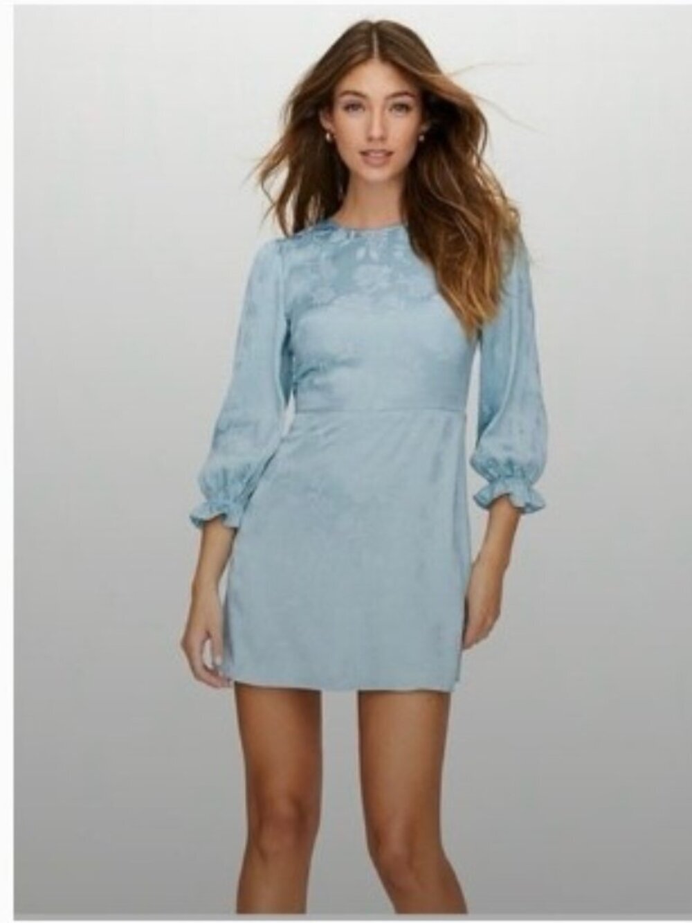 Aritizia Wilfred Powder Blue Floral Jacquard Long Sleeve Dress